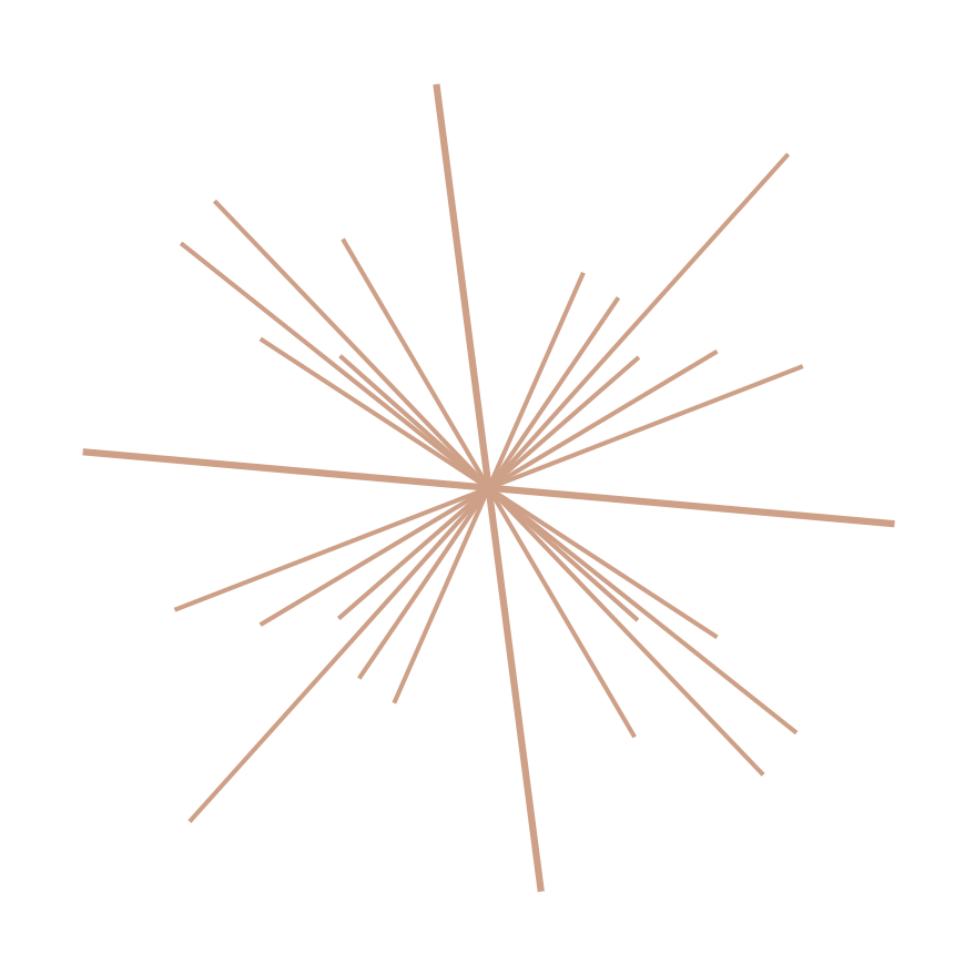 Brand Name Illuminante